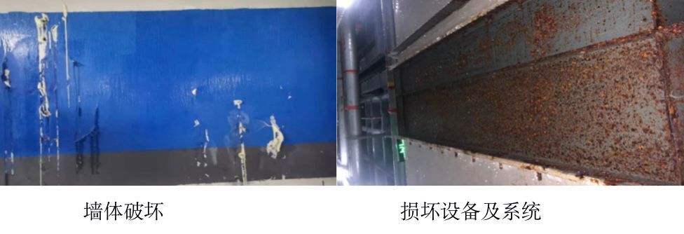 威廉希尔足球官网