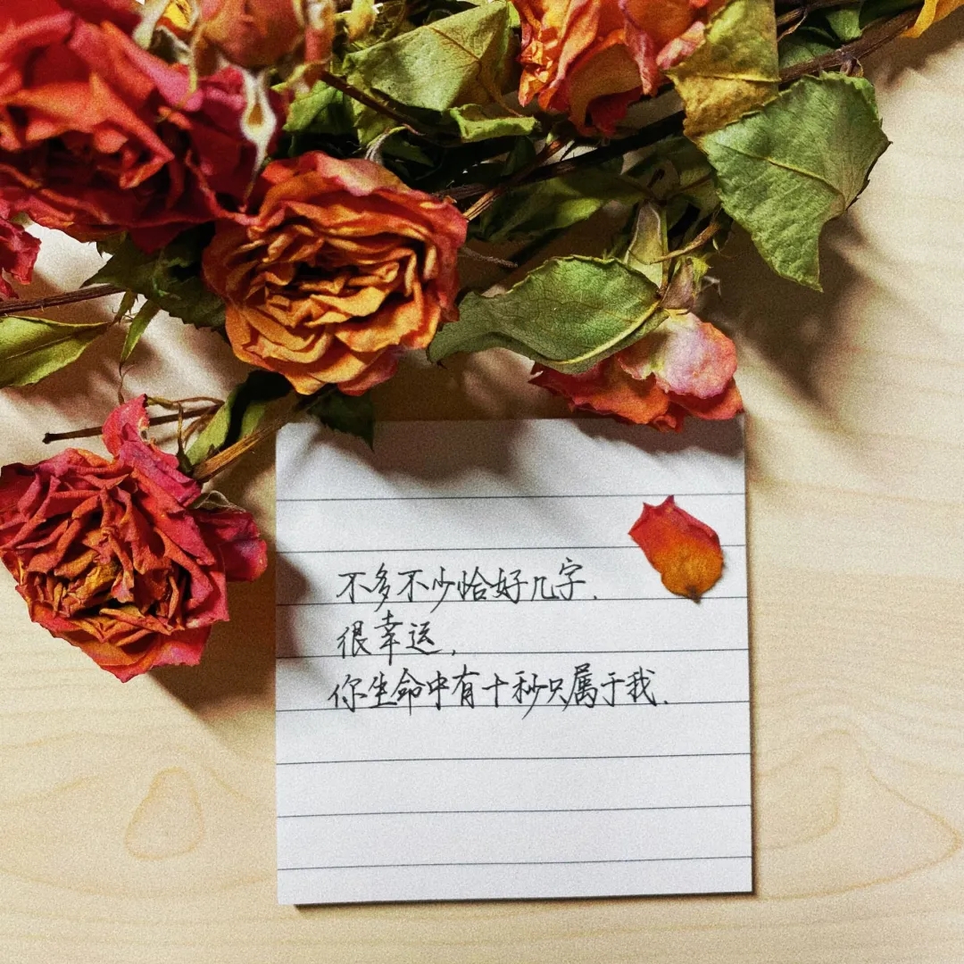 威廉希尔足球官网