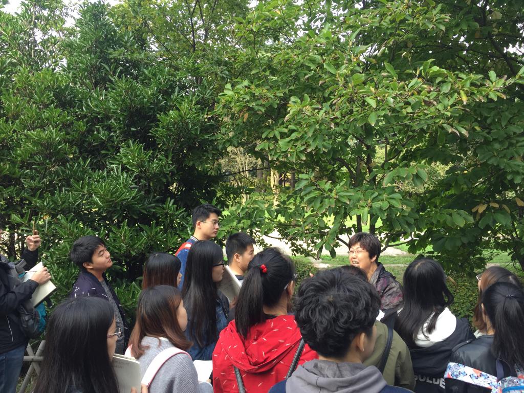 威廉希尔足球官网