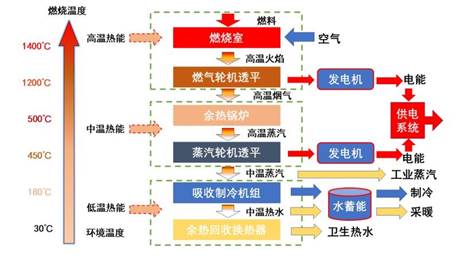 威廉希尔足球官网