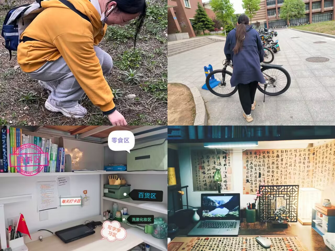 威廉希尔足球官网