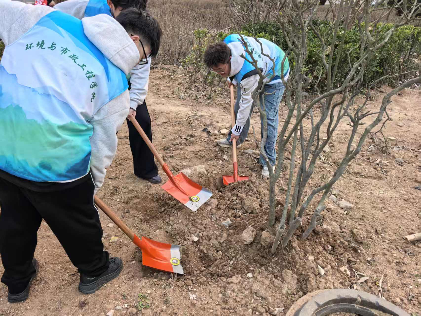 威廉希尔足球官网