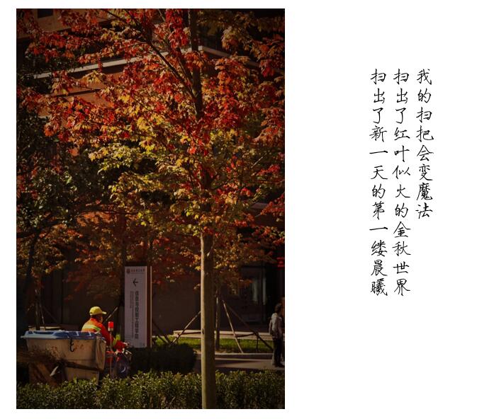 威廉希尔足球官网