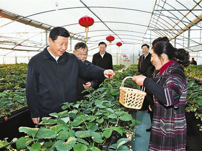 威廉希尔足球官网