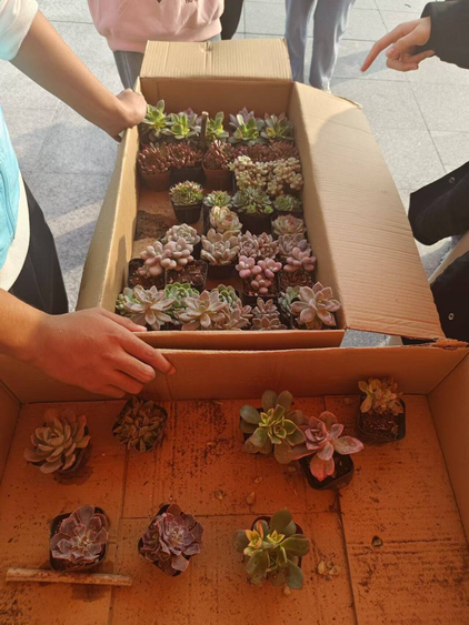 威廉希尔足球官网