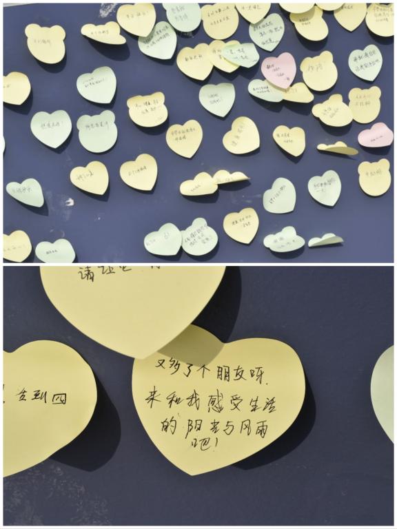 威廉希尔足球官网